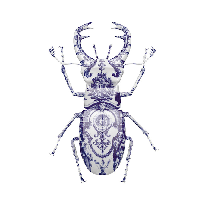 delft-stag-beetle-retina.jpg