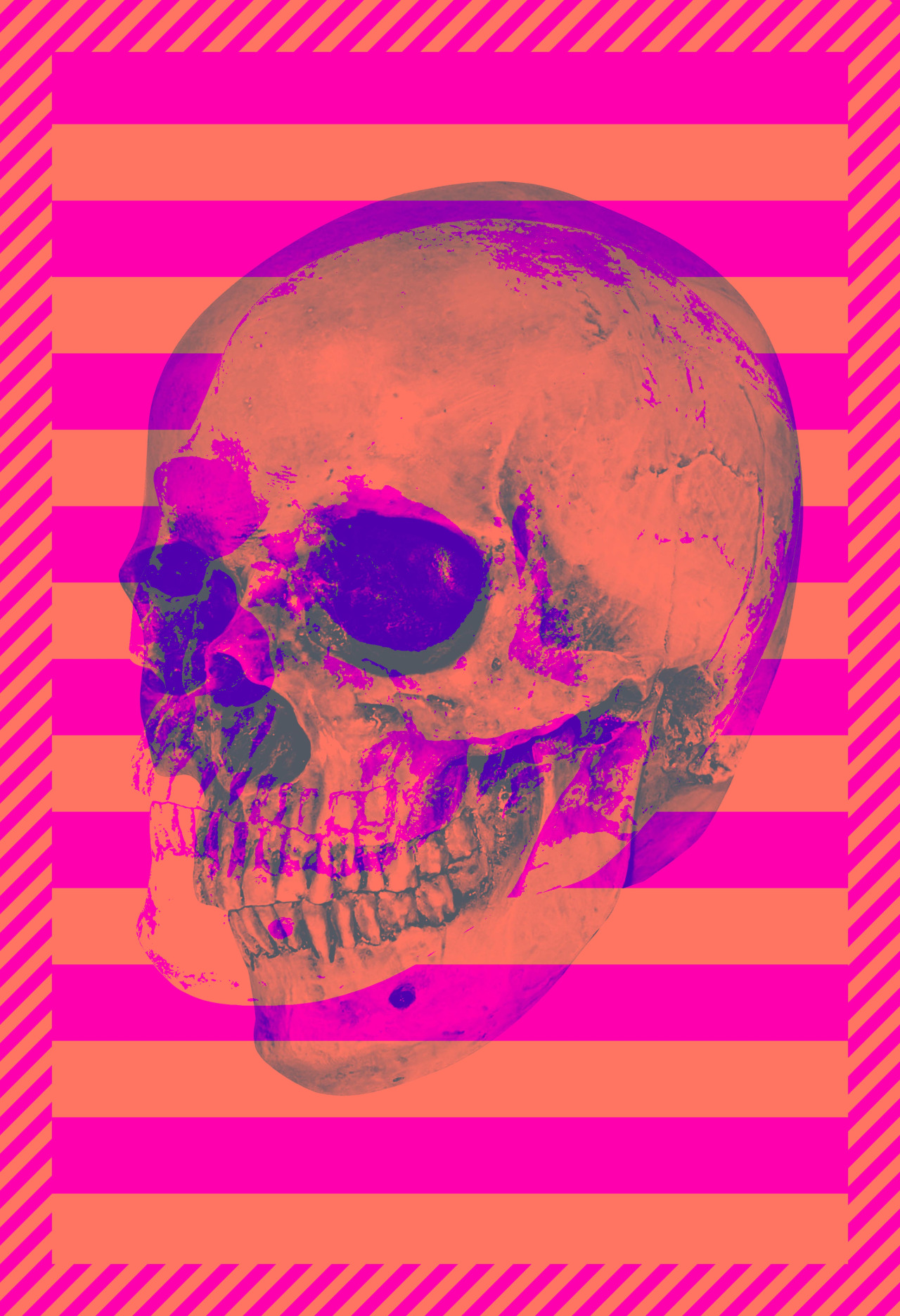 tumblr_nqf3qk0Lev1qi1rrlo1_1280.jpg