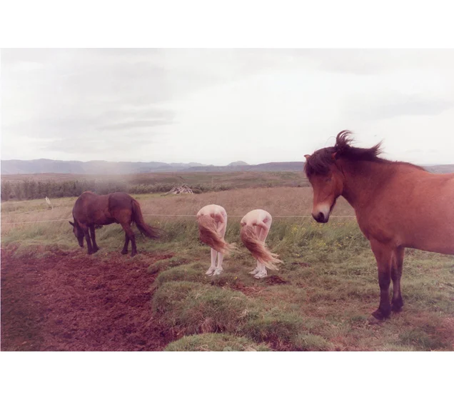 2webhorses.jpg