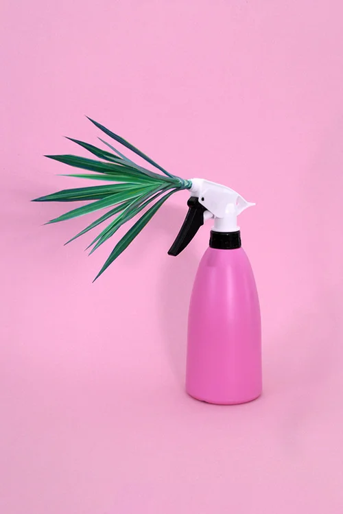 PLANT_CLEANER.jpg