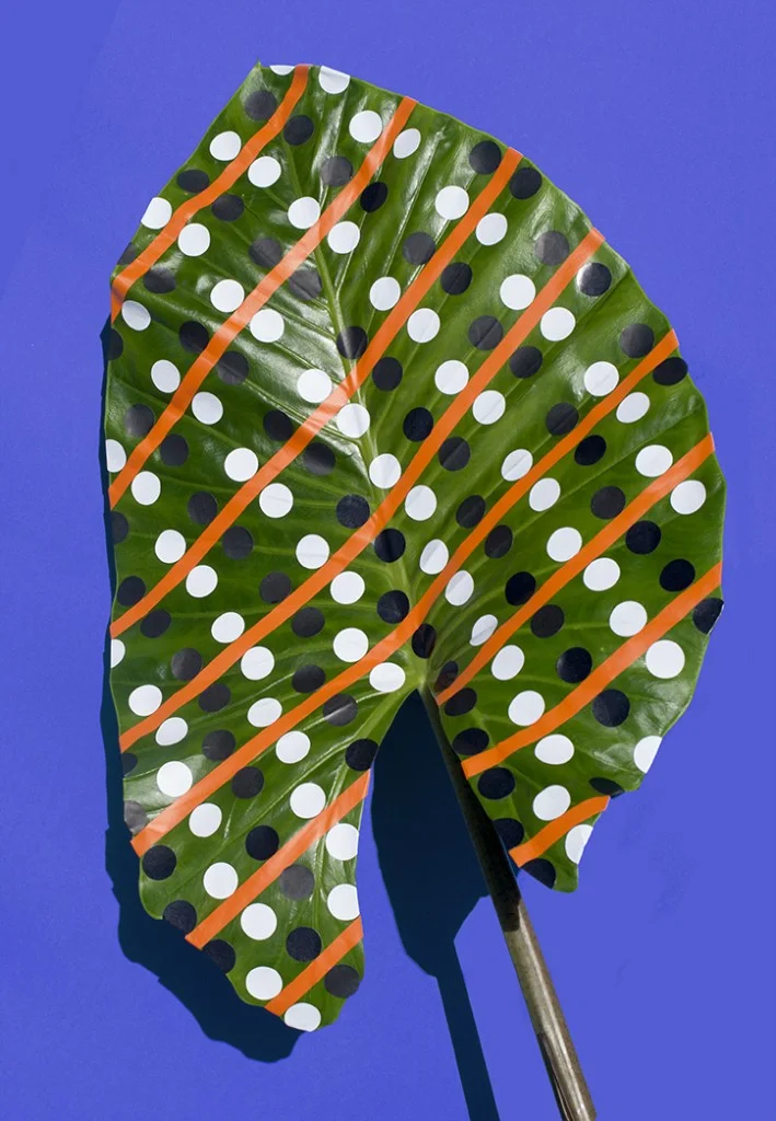 Sarah_Illenberger_Wonderplants_INT_1-709x1024.jpg