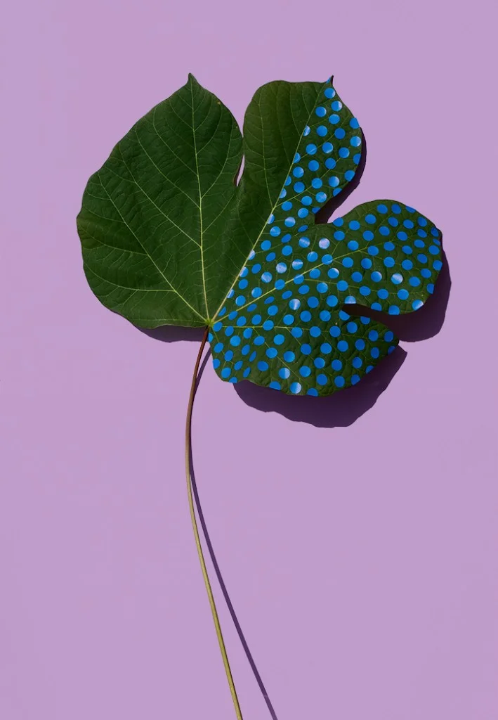 Sarah_Illenberger_Wonderplants_INT_5-709x1024.jpg