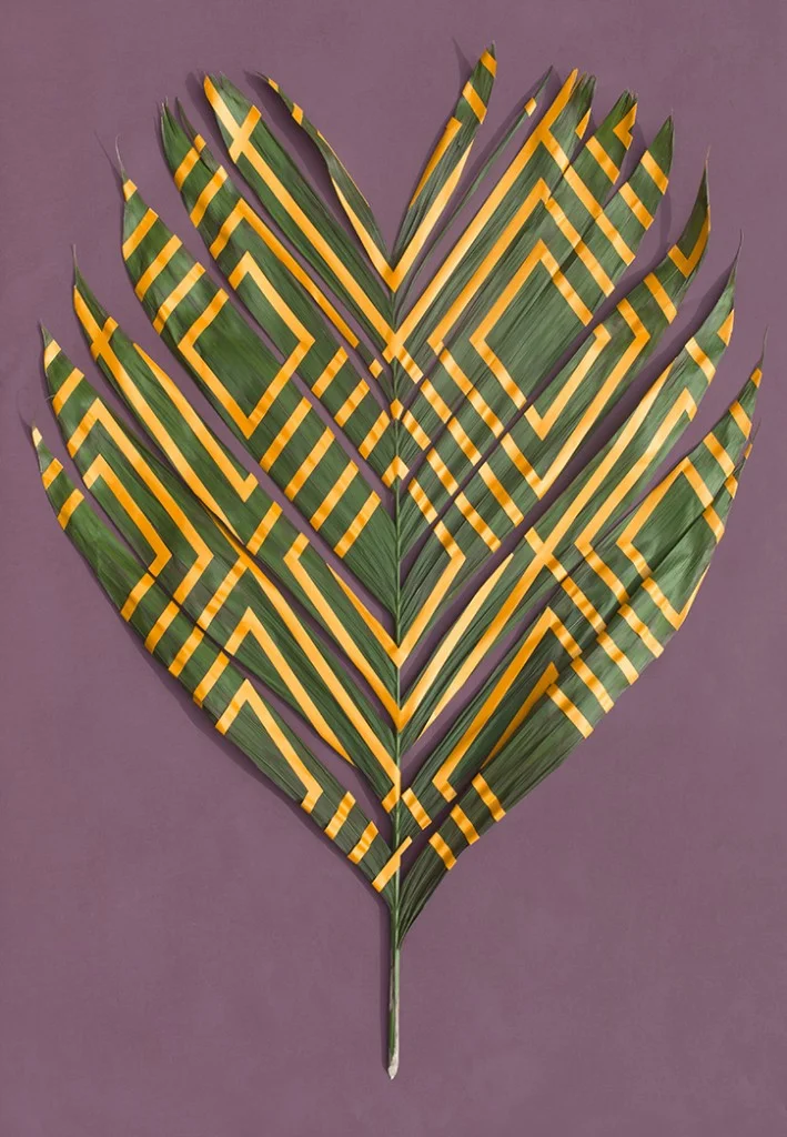Sarah_Illenberger_Wonderplants_INT_9-709x1024.jpg