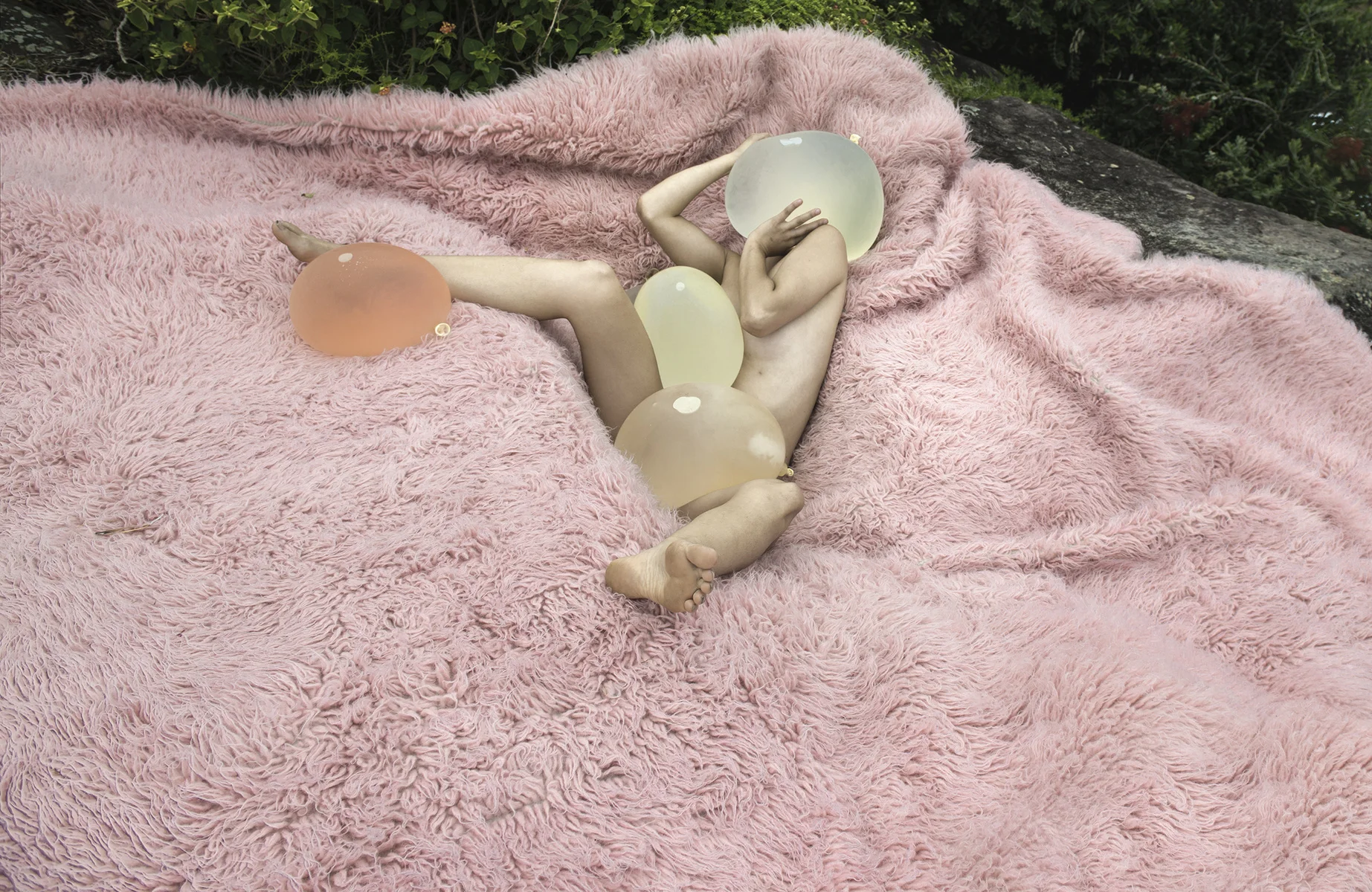 258074-12331545-pink-membrane-website_jpg.jpg