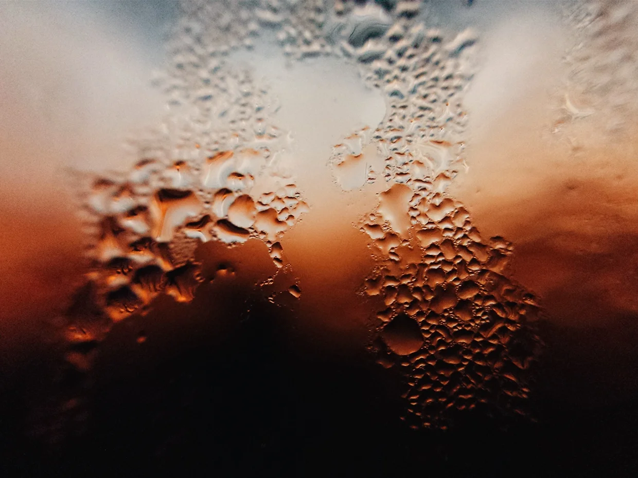 fc238d28873631.55d647d2eb290.jpg