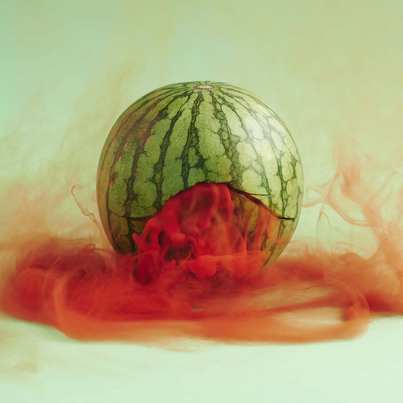 01-watermelon_1340_c.jpg