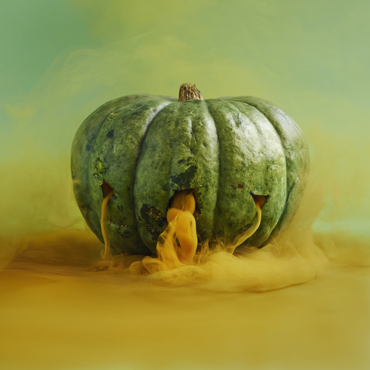 05-green_pumpkin_1527.jpg