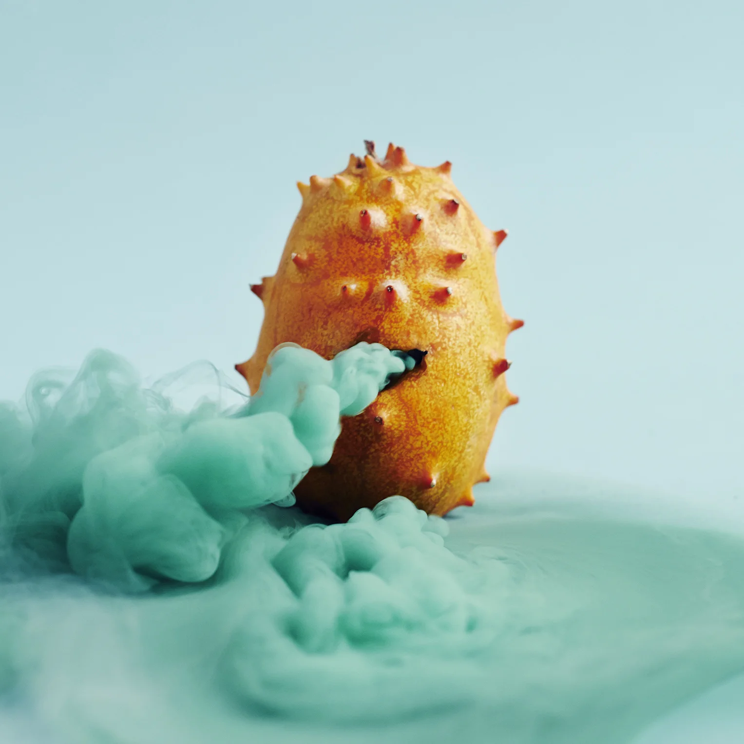 08-horned_melon_1527.jpg