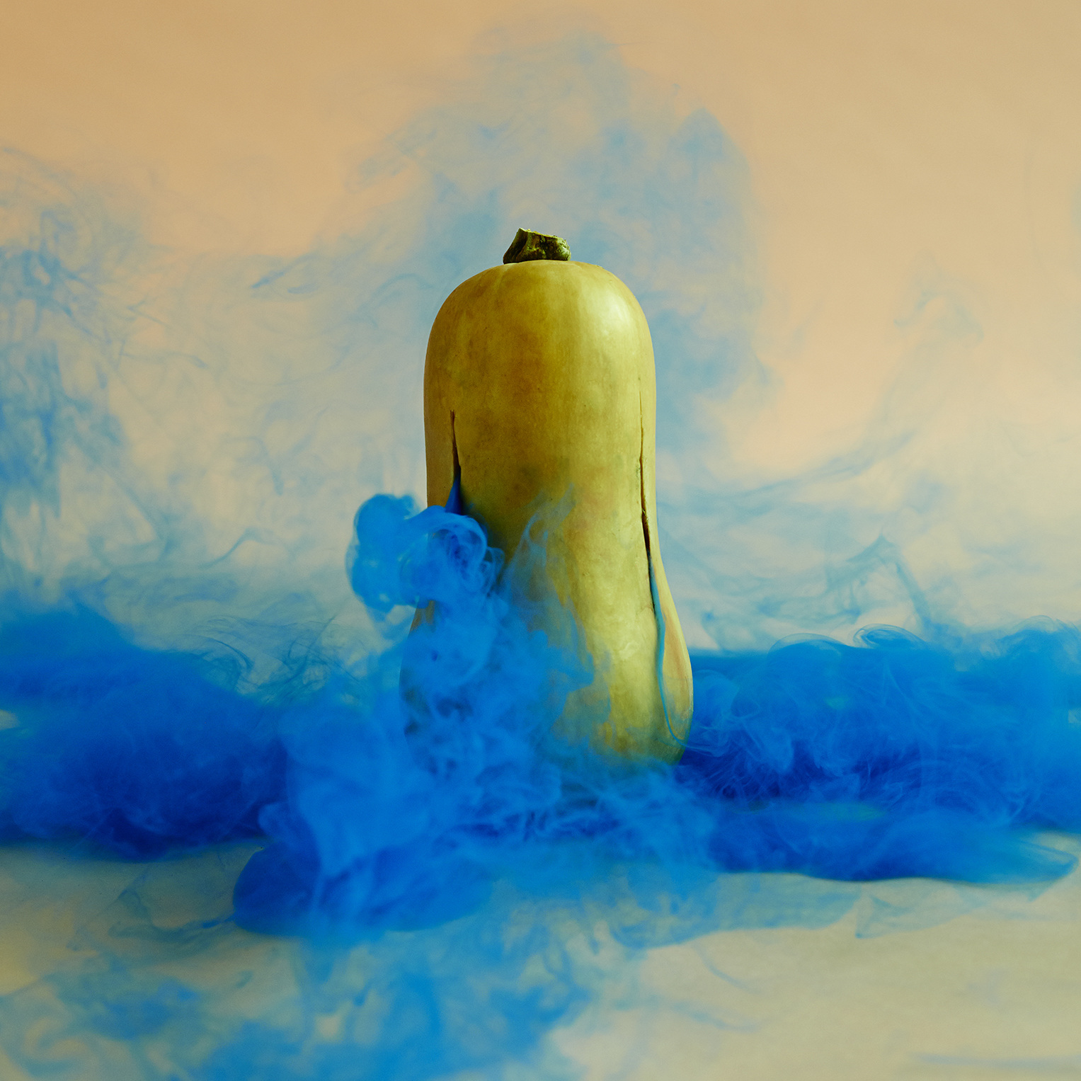 11-butternut-squash_1527.jpg
