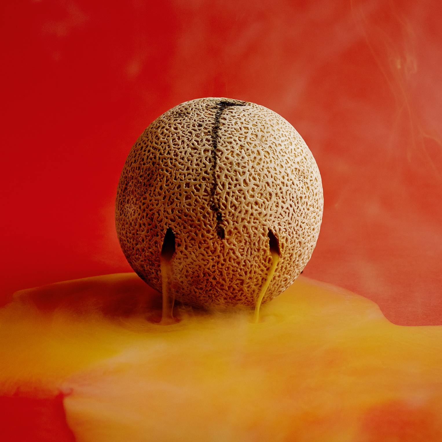 14-cantaloupe_1527.jpg