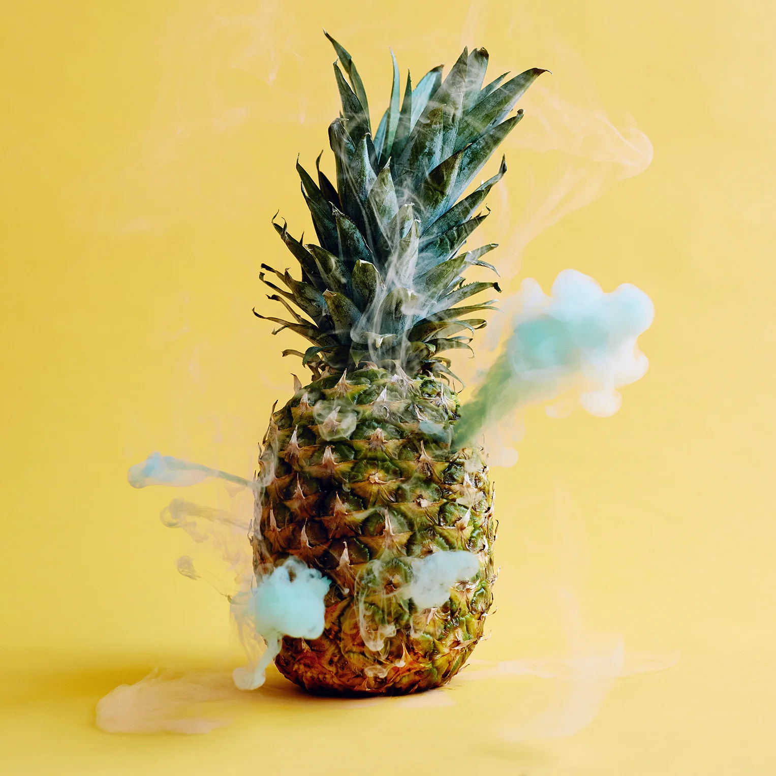 15-pineapple_1527.jpg