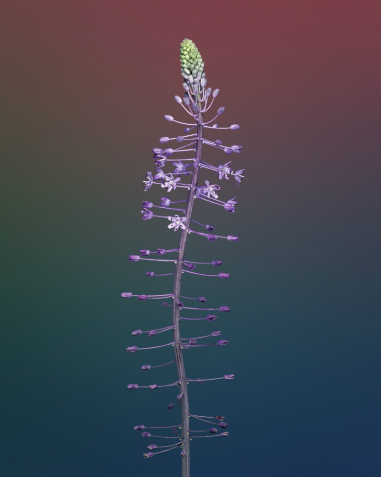 Ekran Resmi 2016-05-23 ÖS 5.44.38.png