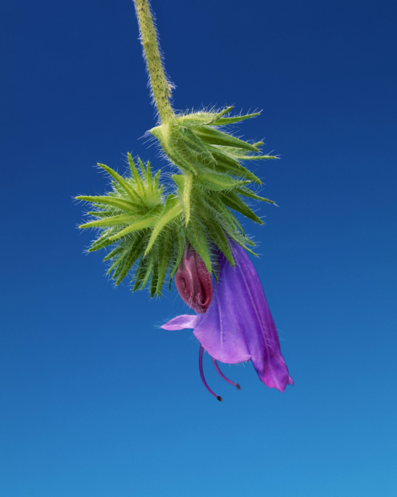 Ekran Resmi 2016-05-23 ÖS 5.44.57.png