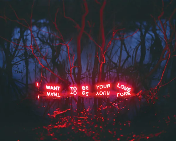 Jung-Lee-I-Want-To-Be-Your-Love-2012-600x480.jpg