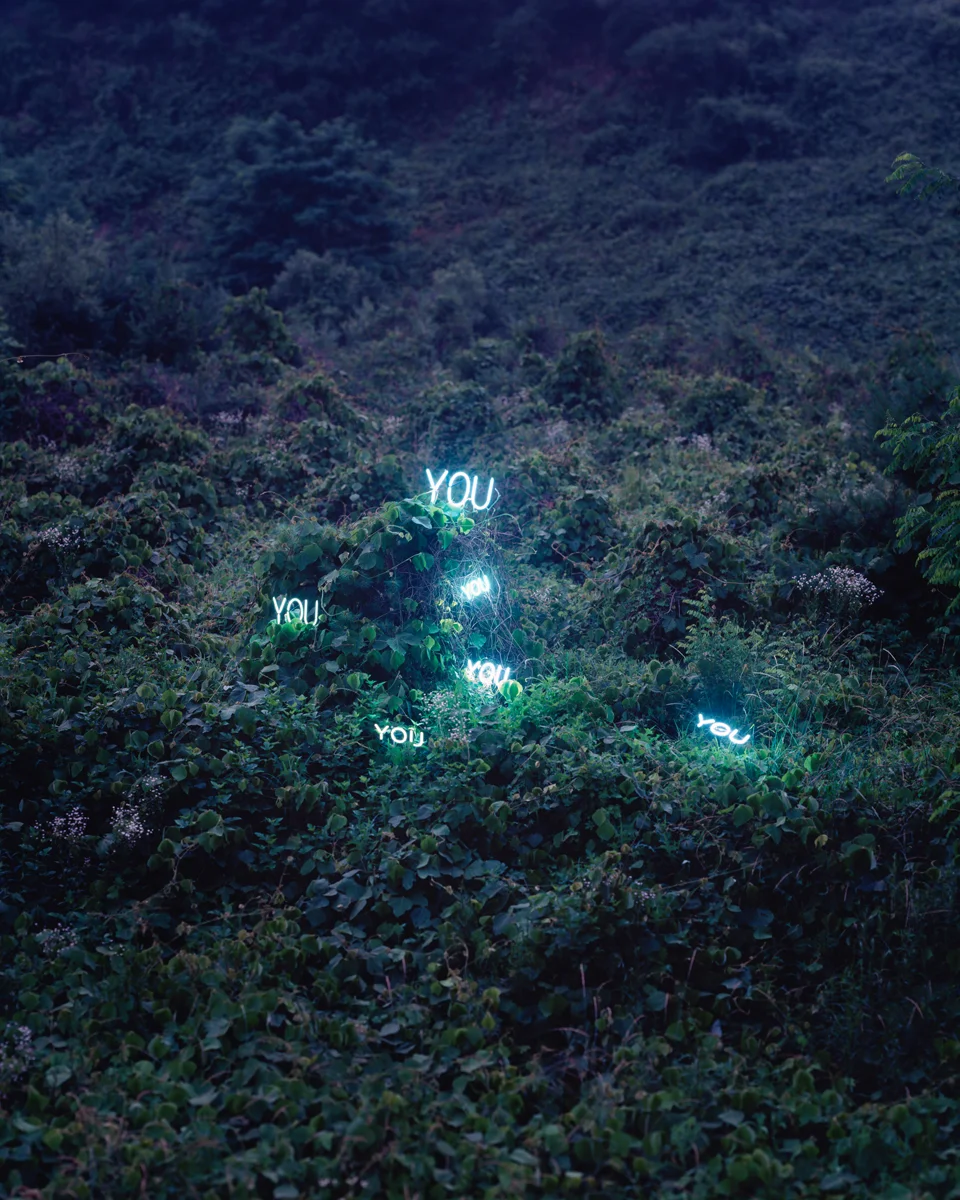lee-web10.jpg