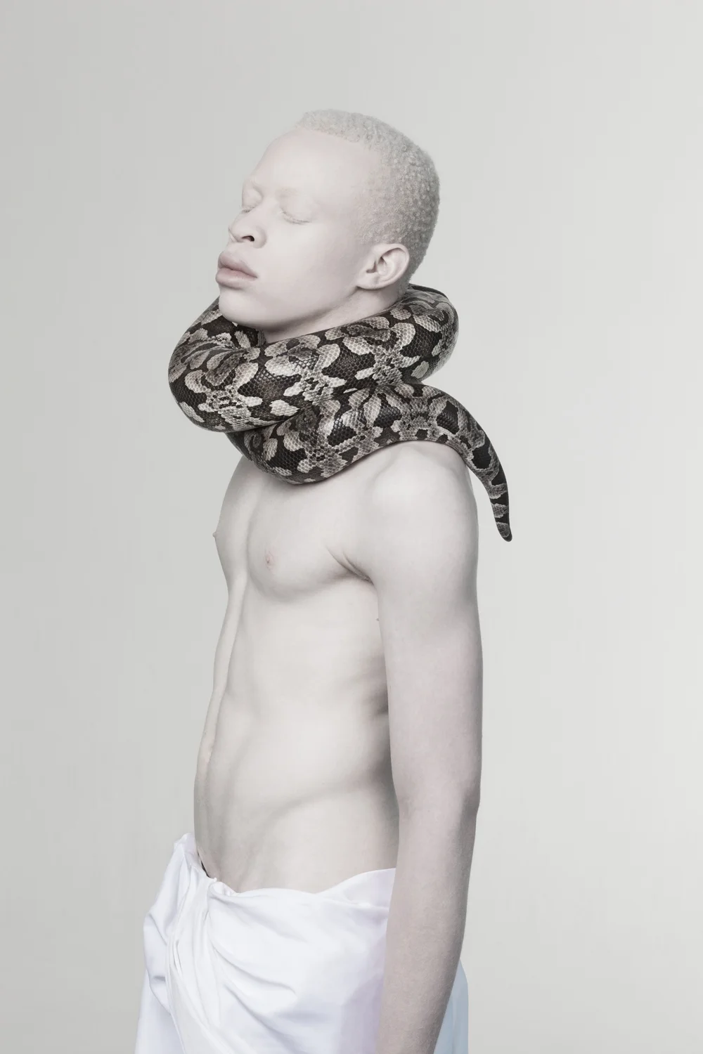reveal01-6.jpg