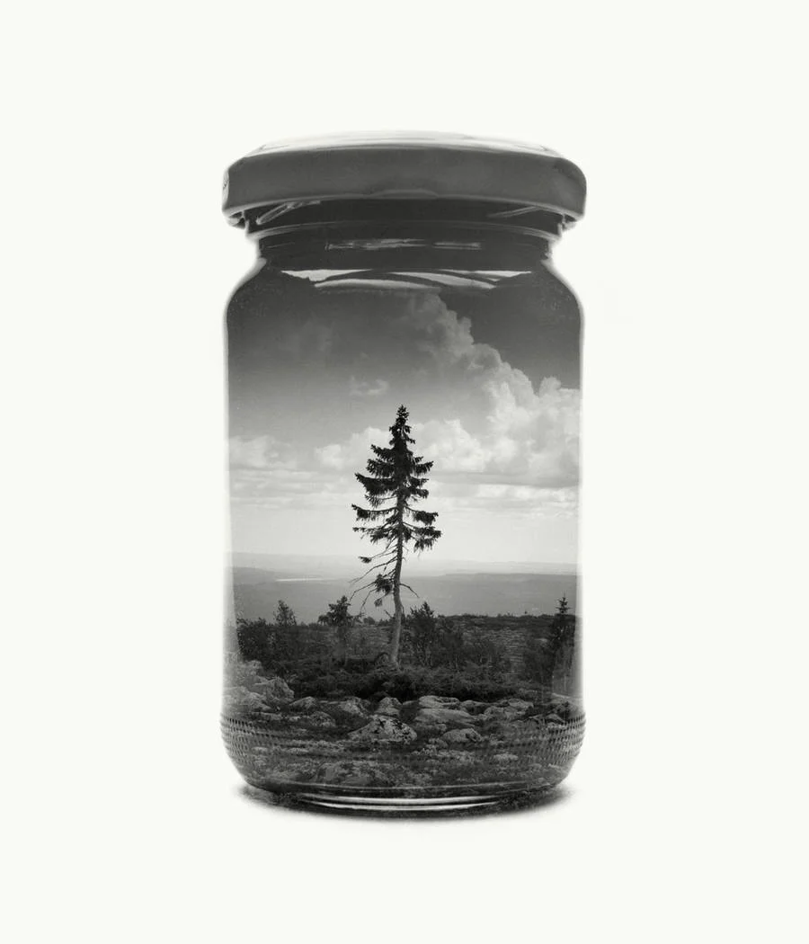 bwglasspictures0-900x1050.jpg