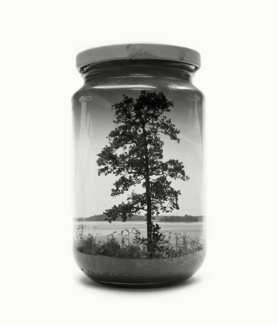 bwglasspictures8-900x1050.jpg