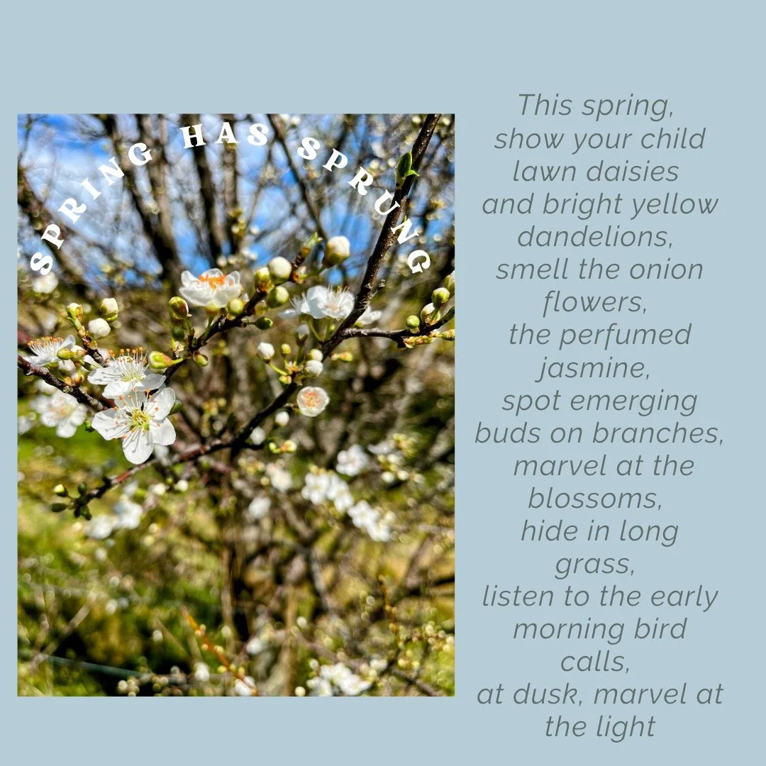 🌼Spring is known as a transition season, a season that has a little bit of everything in it. It's the coming alive time of year with nature just bursting out, up and in every direction, showing phenomenal growth and change.
Villa Sophia is presentin