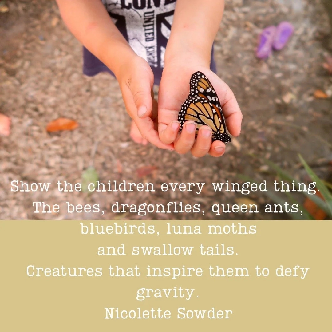 In our Aotearoa context, we will be showing children tui, kereru, and piwaiwaka, as well as the winged insects that hover over the wetlands of Mātekai Park. 

Are you looking for less screen time and more green time these school holidays? 

 Registra