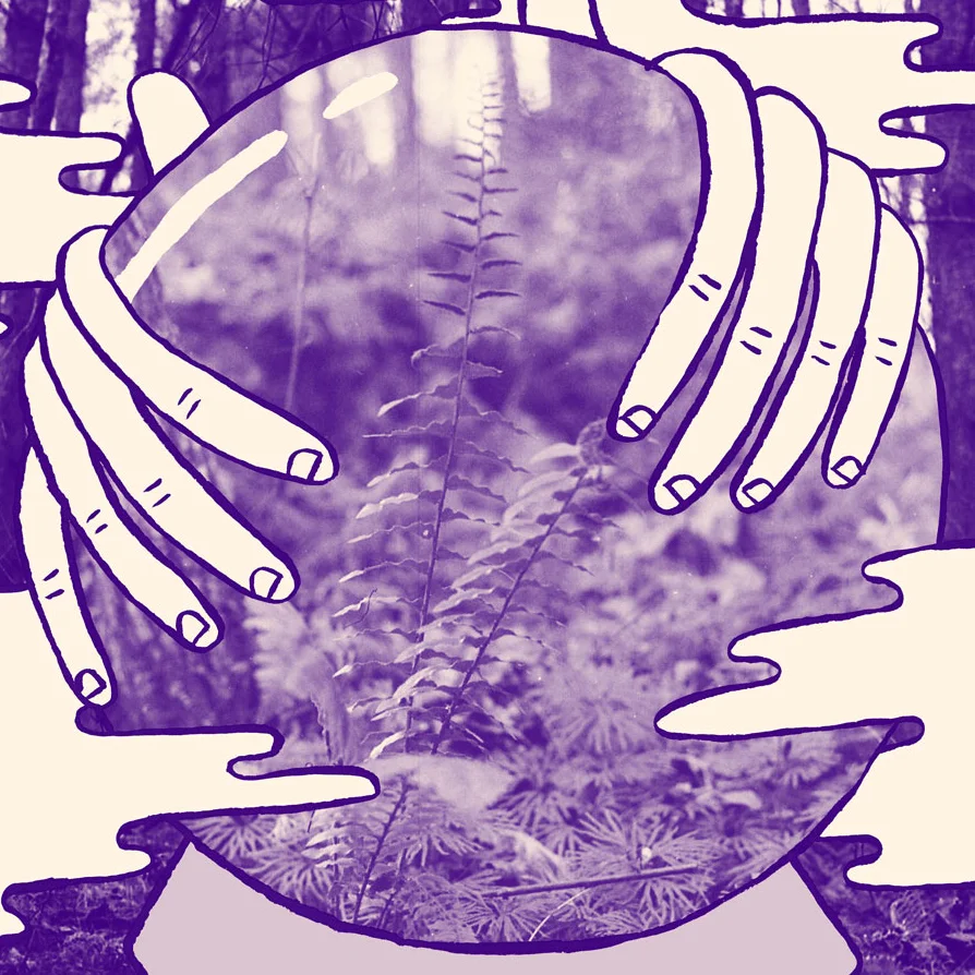 thumb.jpg