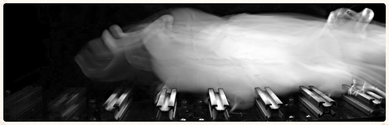 crossing-image.jpg