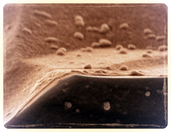 Improving silicon probe performance through layer-by-layer coating