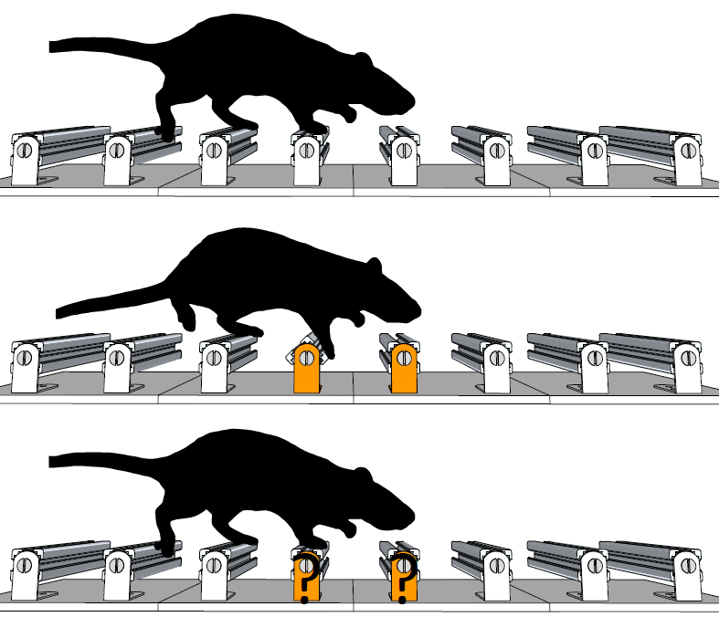 A robust role for motor cortex