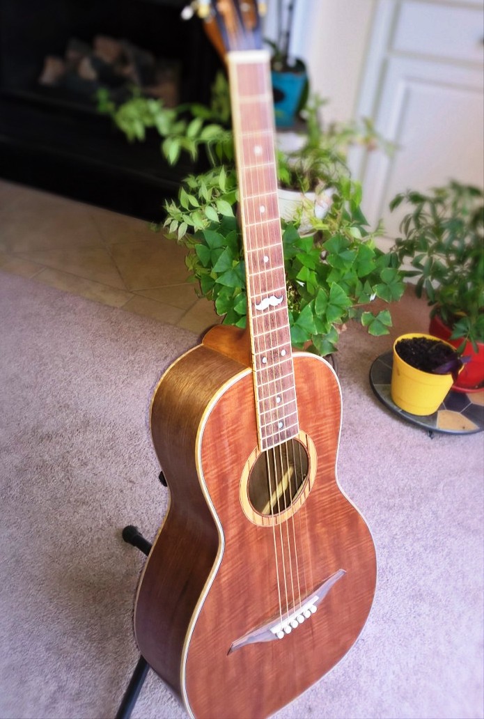 Hawkins Parlor Guitar Mustache