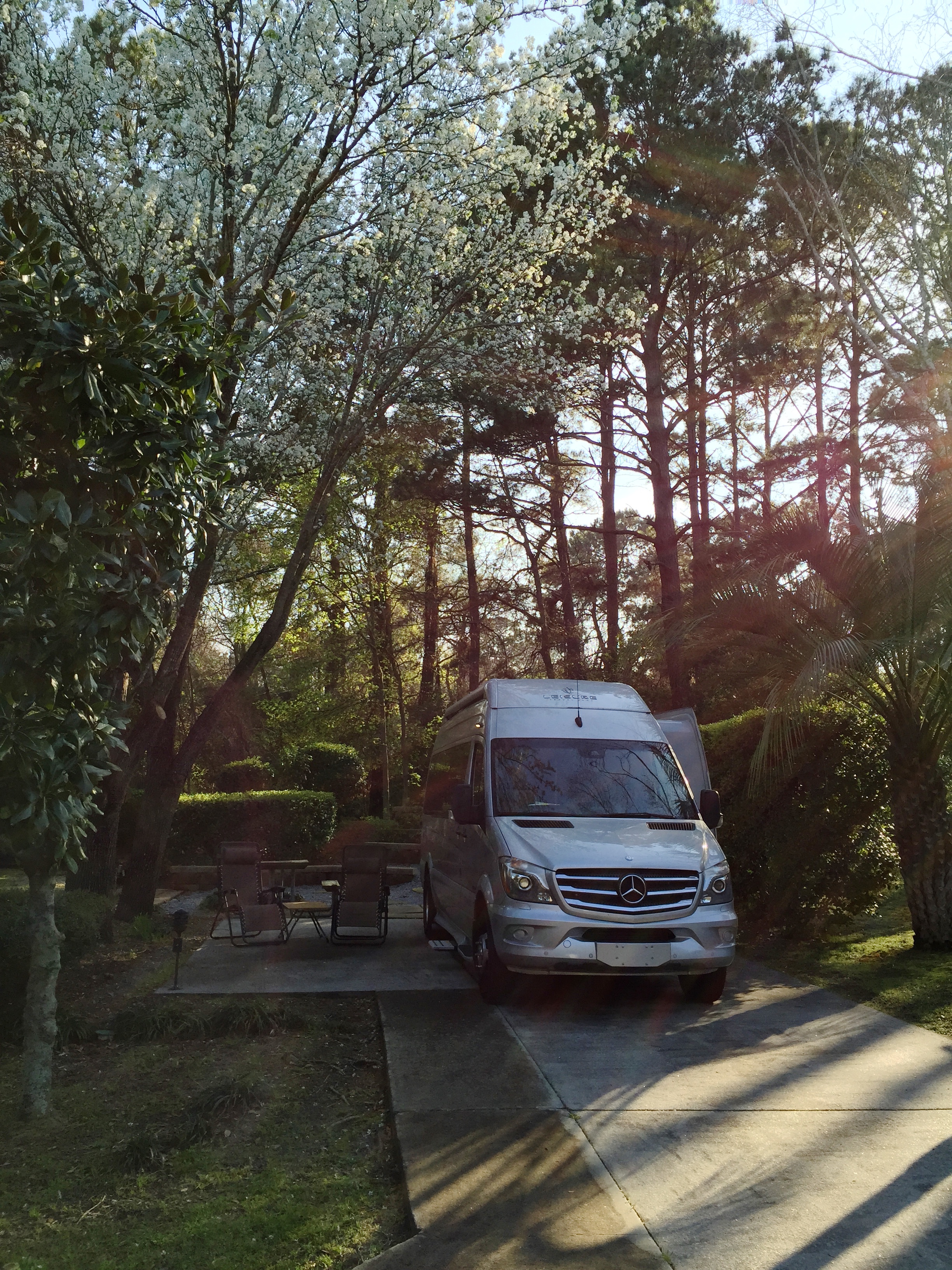 Our campsite on the north side of Hilton Head Island