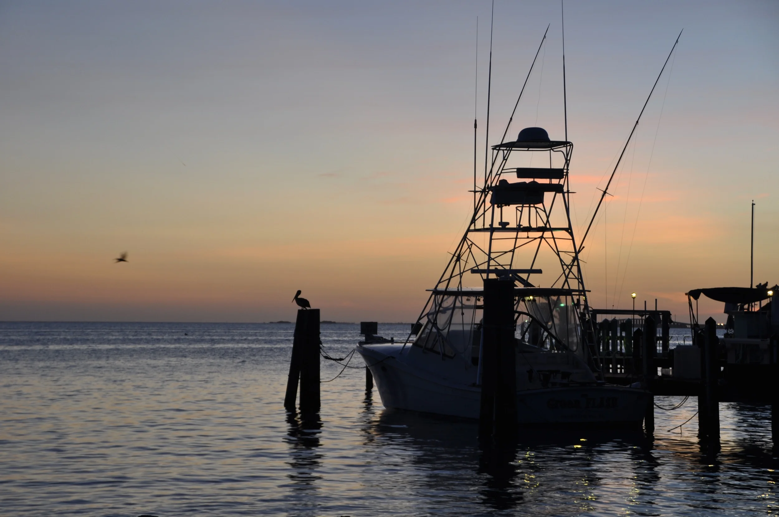 DSC_5092.JPG