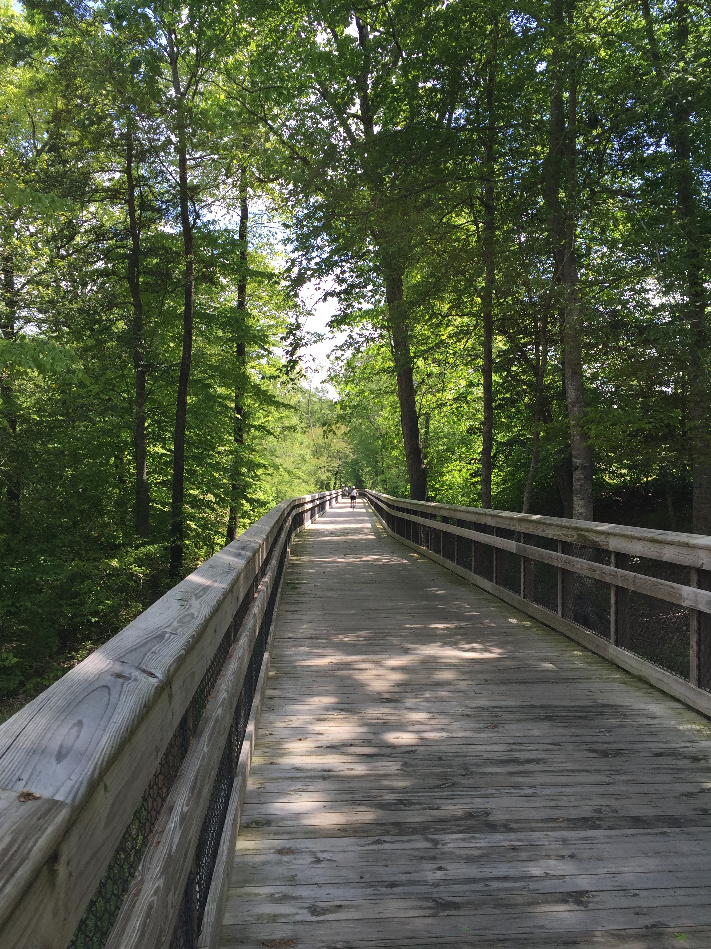 One of the boardwalks on the trail