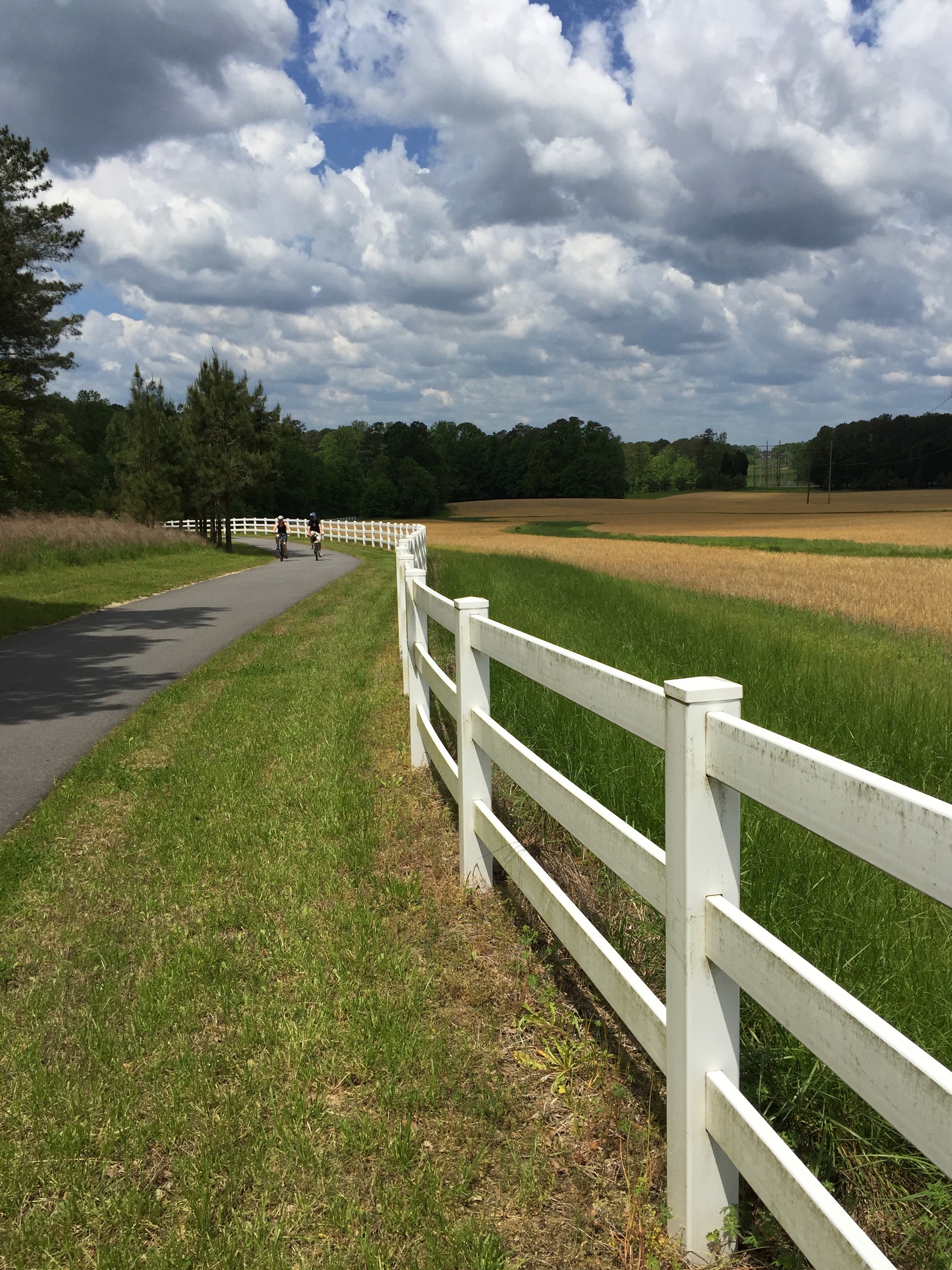 Near mile marker 24 of the Neuse River Trail