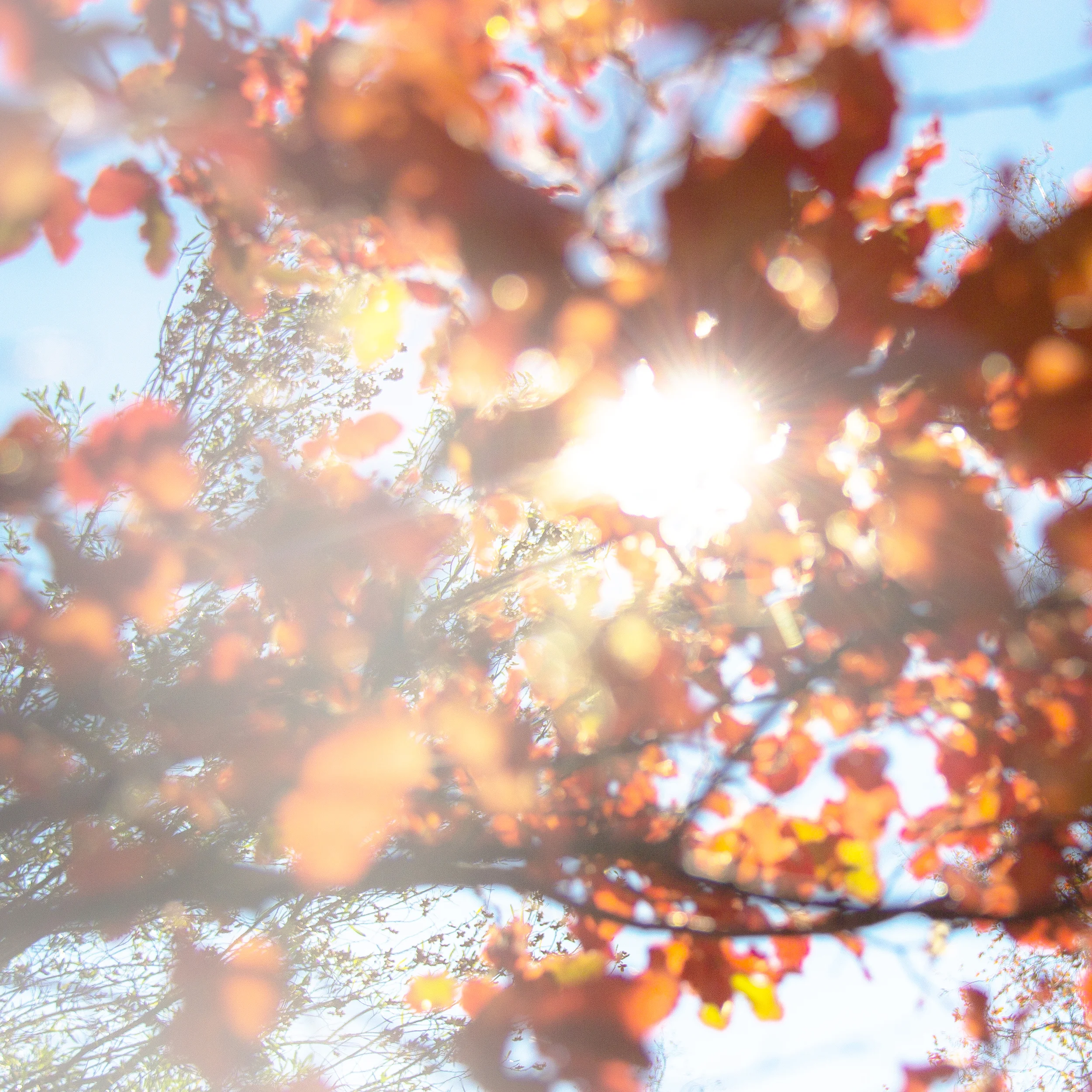 bright 1.jpg