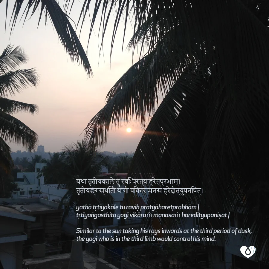upanishads rooftop view natalia correa.jpg