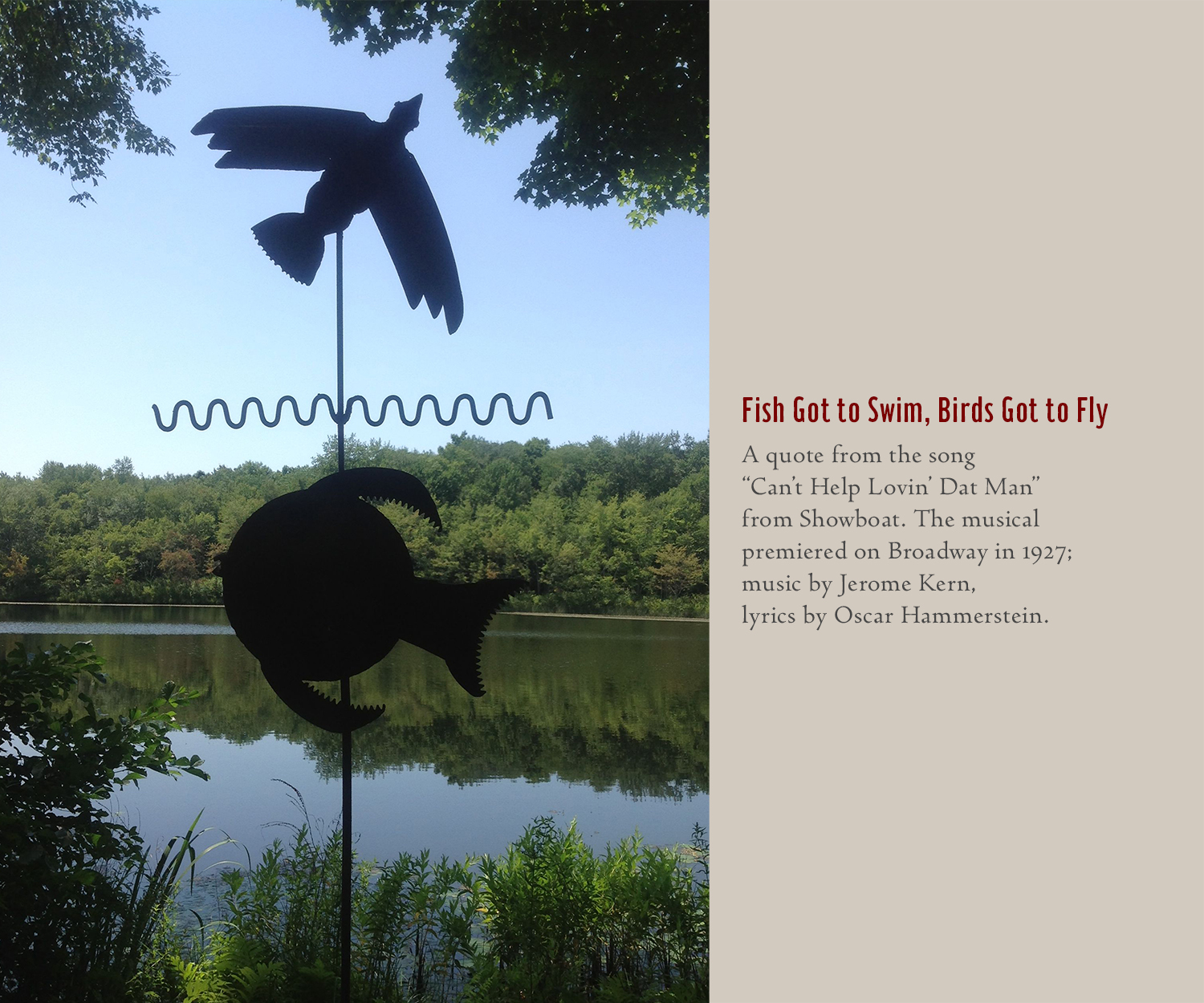 Fish Got to Swim.jpg