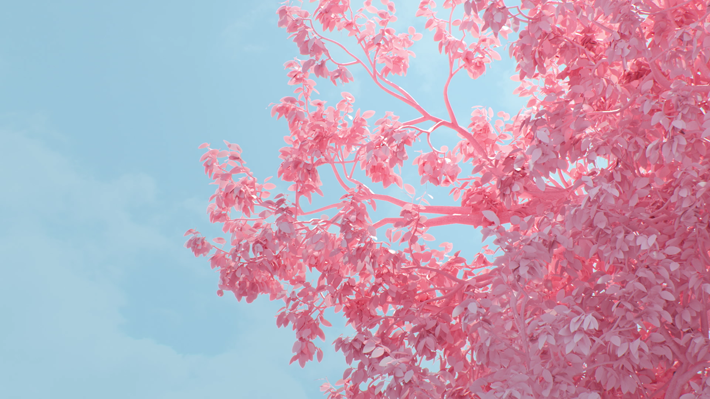 7f94bf60062507.5a3a4cd0726fc.png