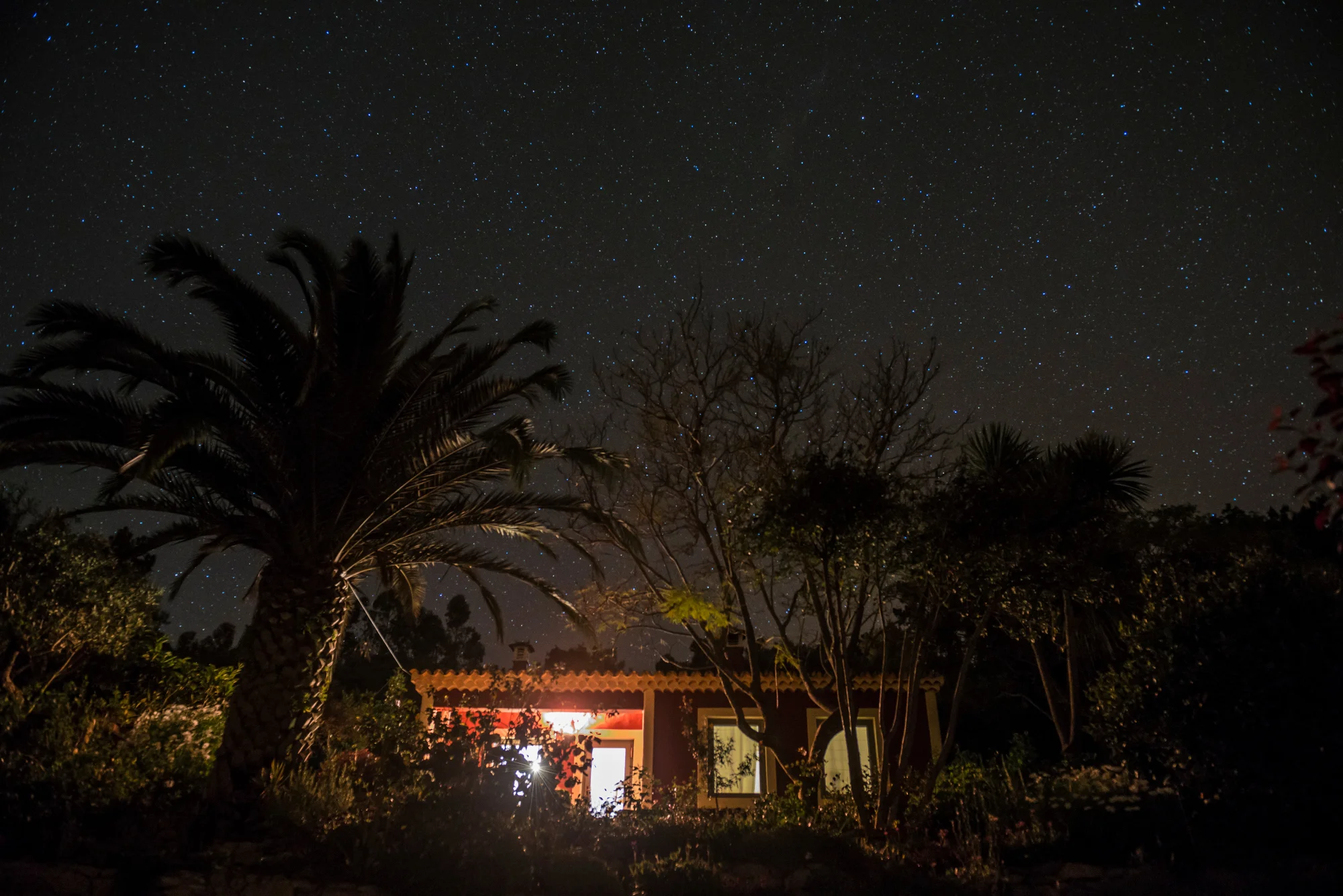 Casa Jacaranda Night.jpg