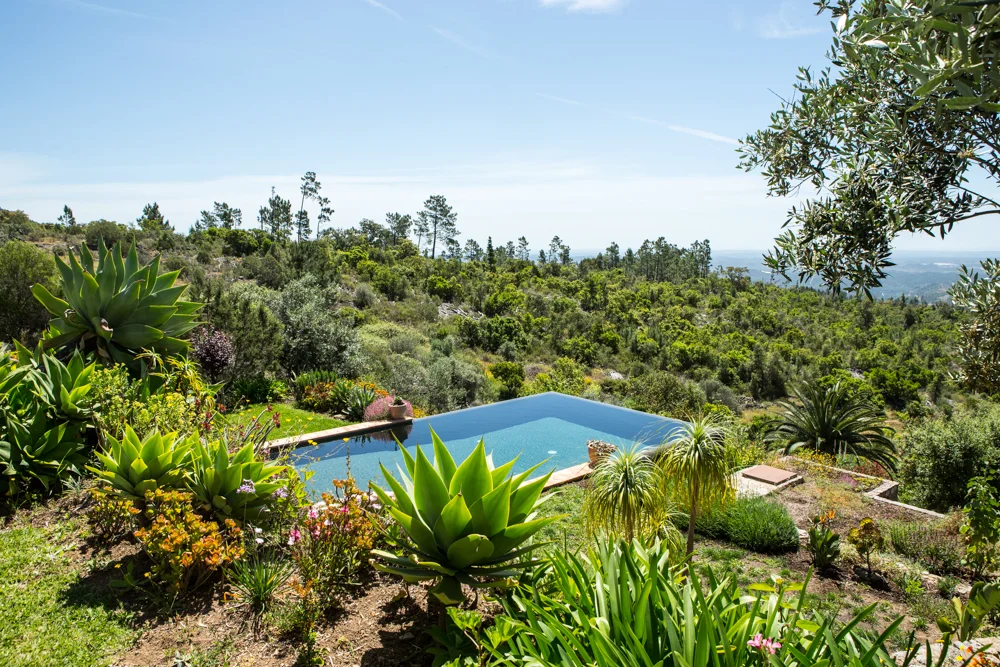 Pool #21.jpg