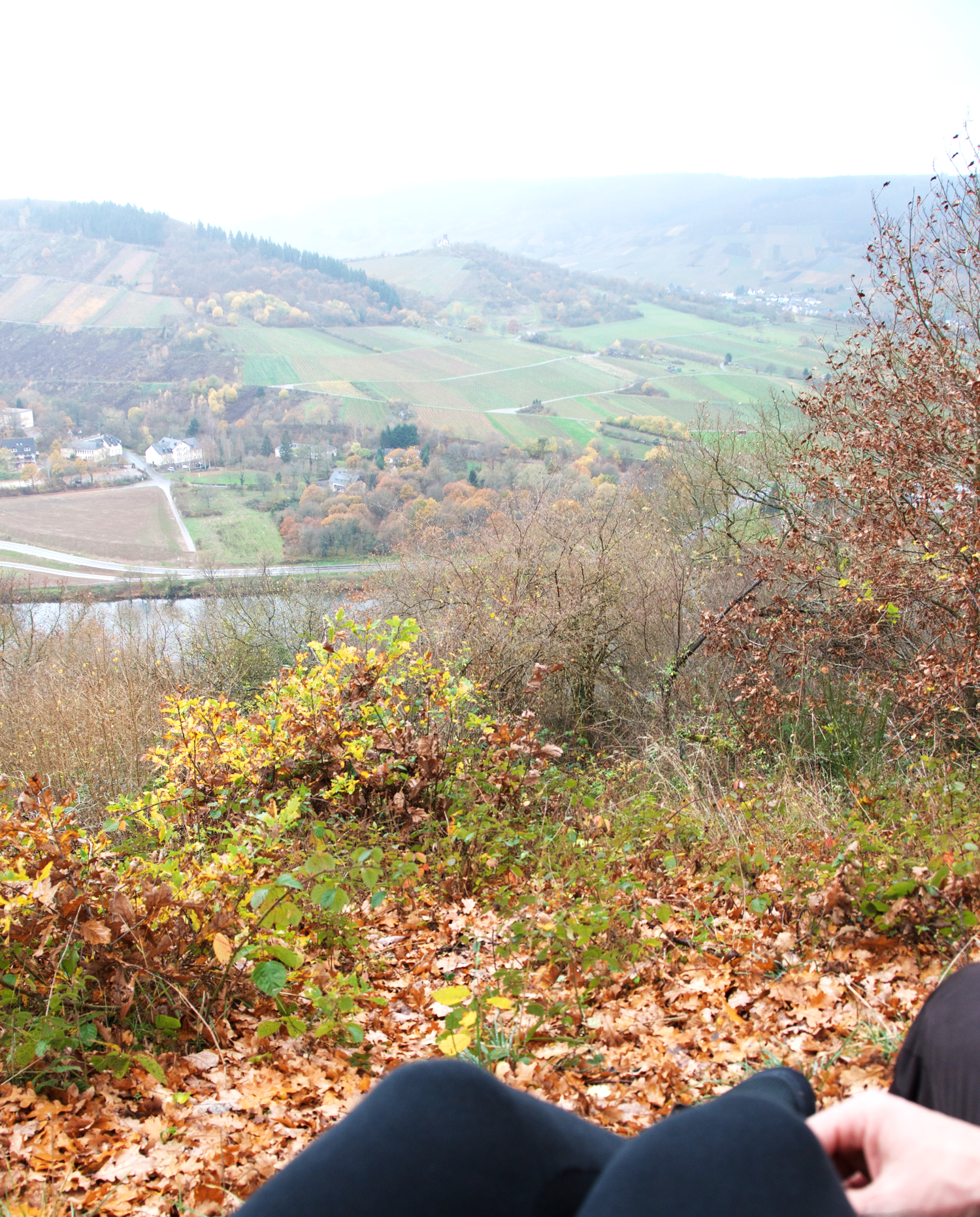 viewpoint-traben-trarbach.png