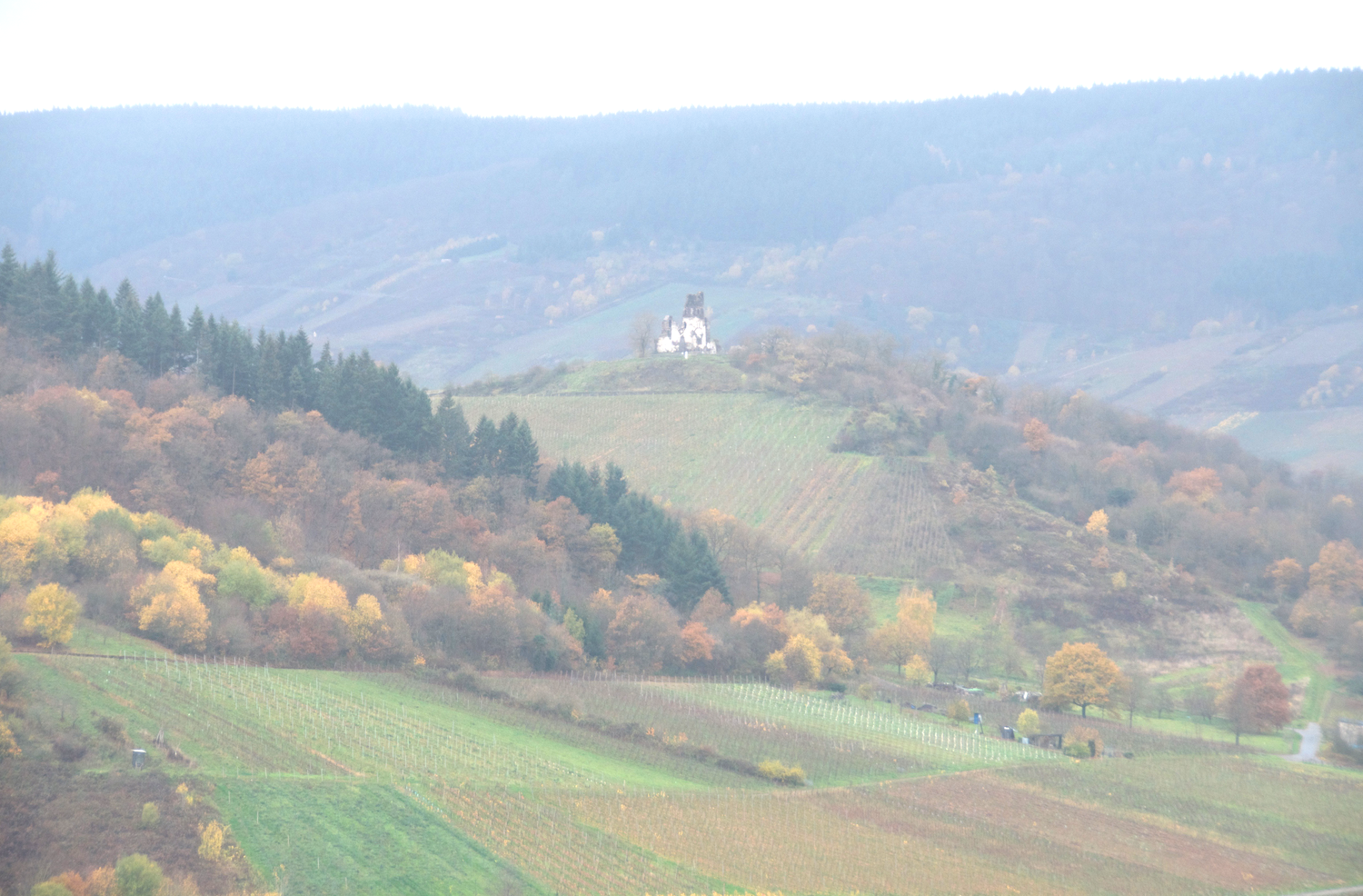 nature-hiking-traben-trarbach.png
