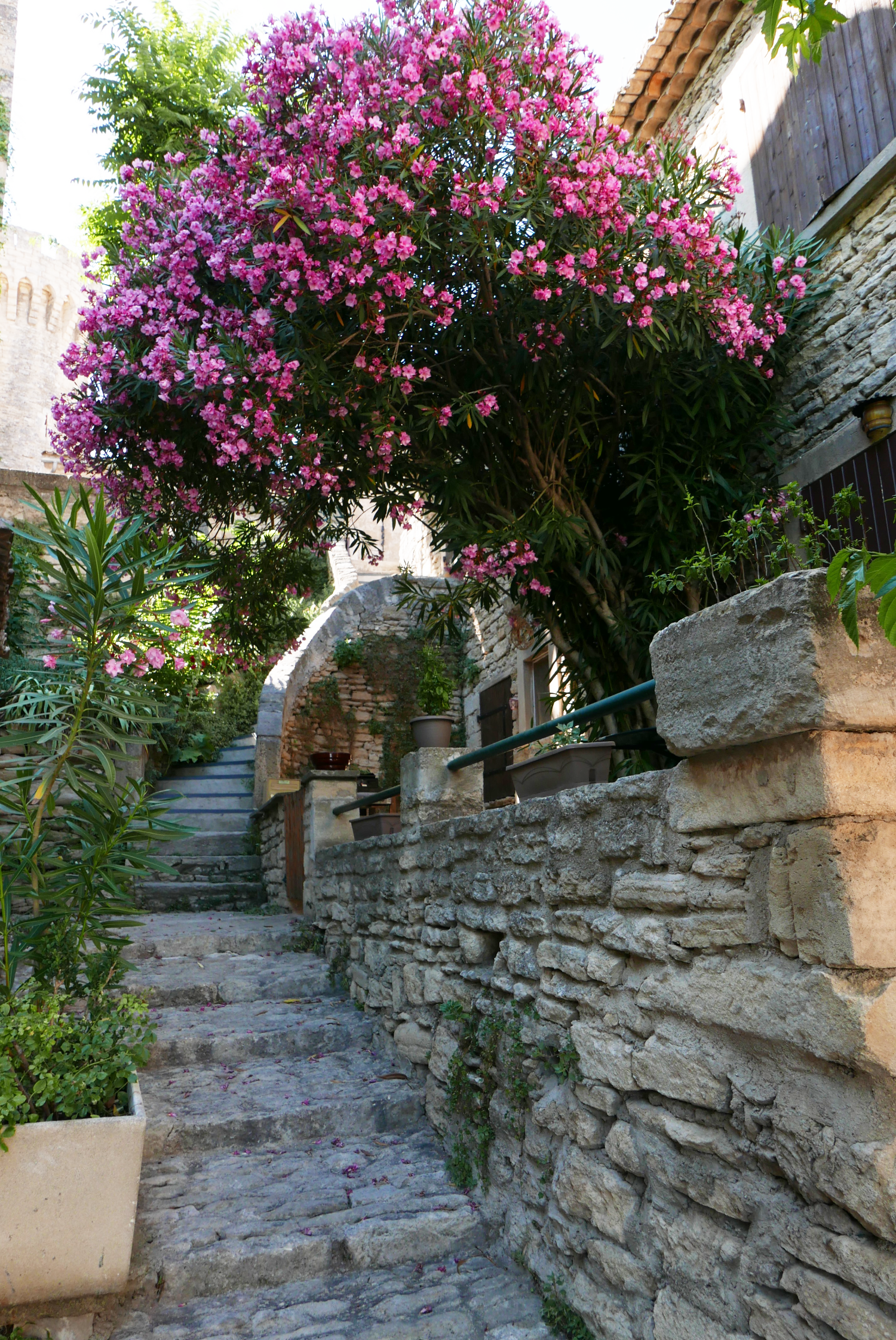 gordes-provence-south-of-france.png
