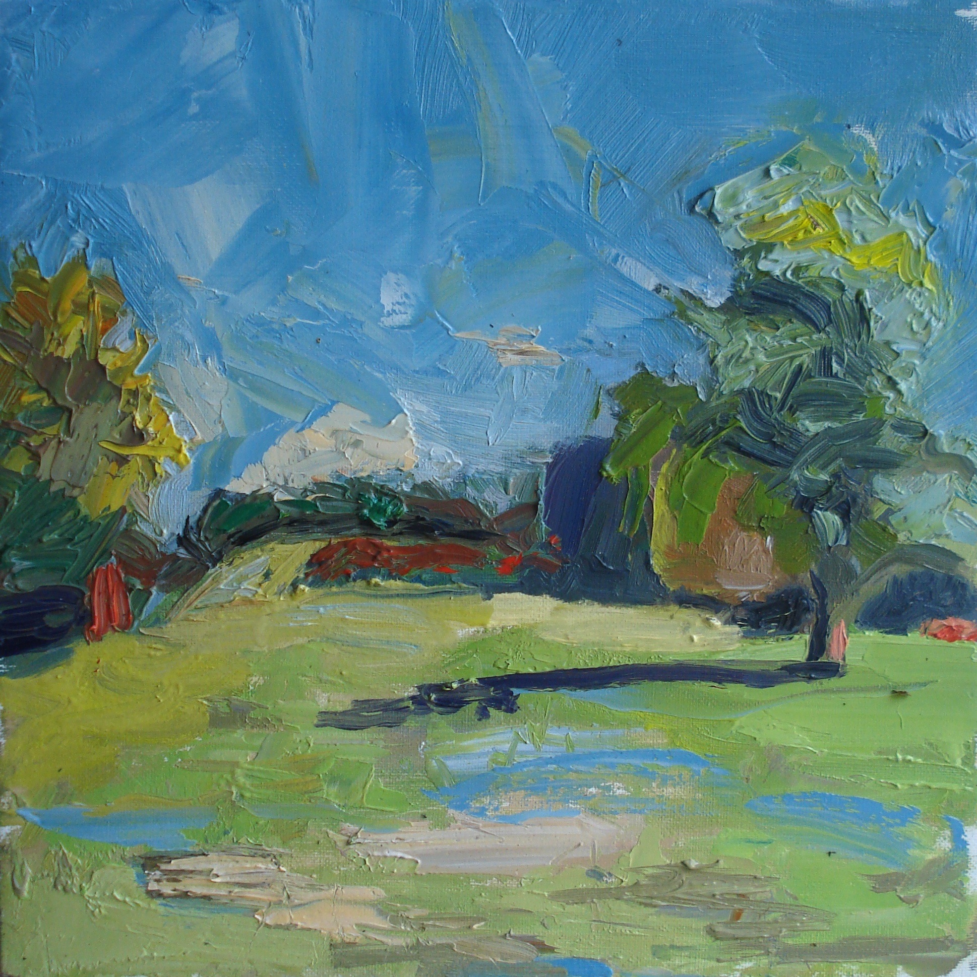 The Meadow