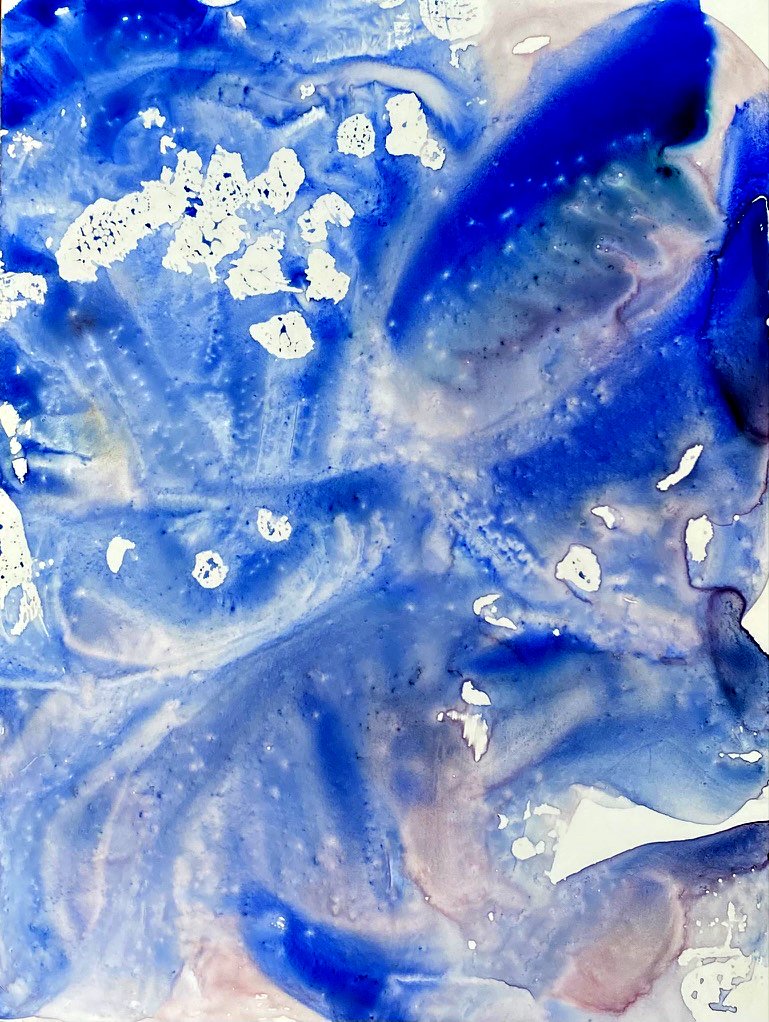 Blue Flower - Åre, 2023