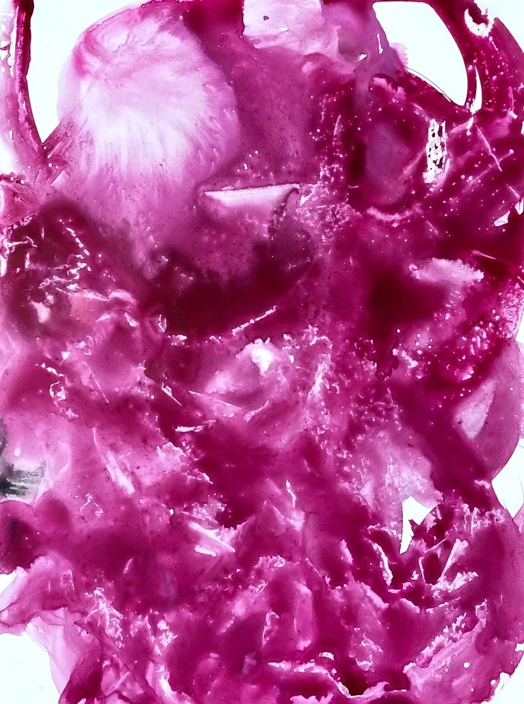 Magenta Flower, Åre 2023