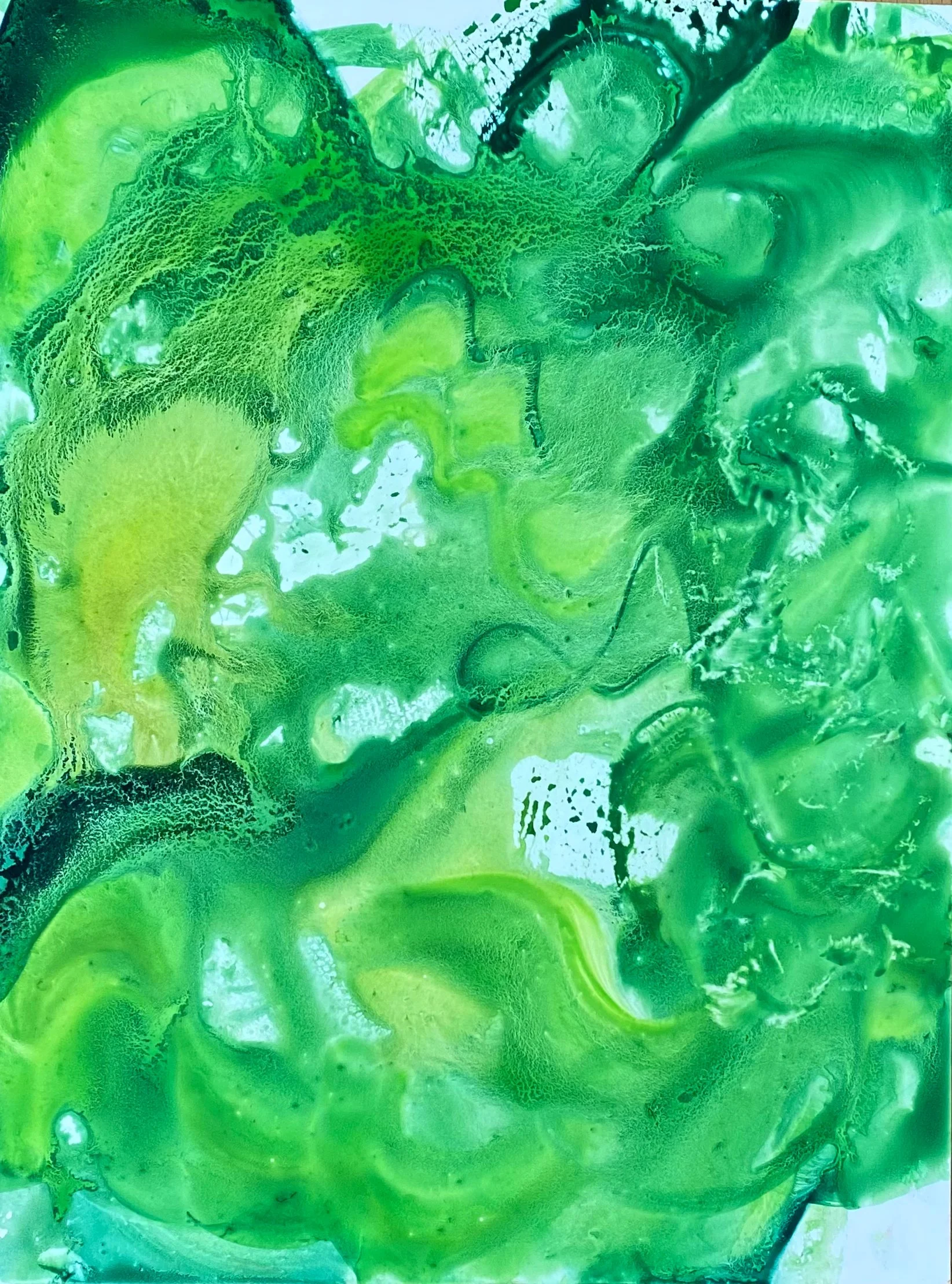 Green Flower, Åre 2023