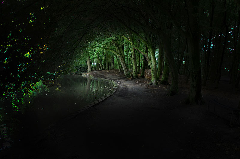 Doorkijk in Steinerbos bij de roeivijver.