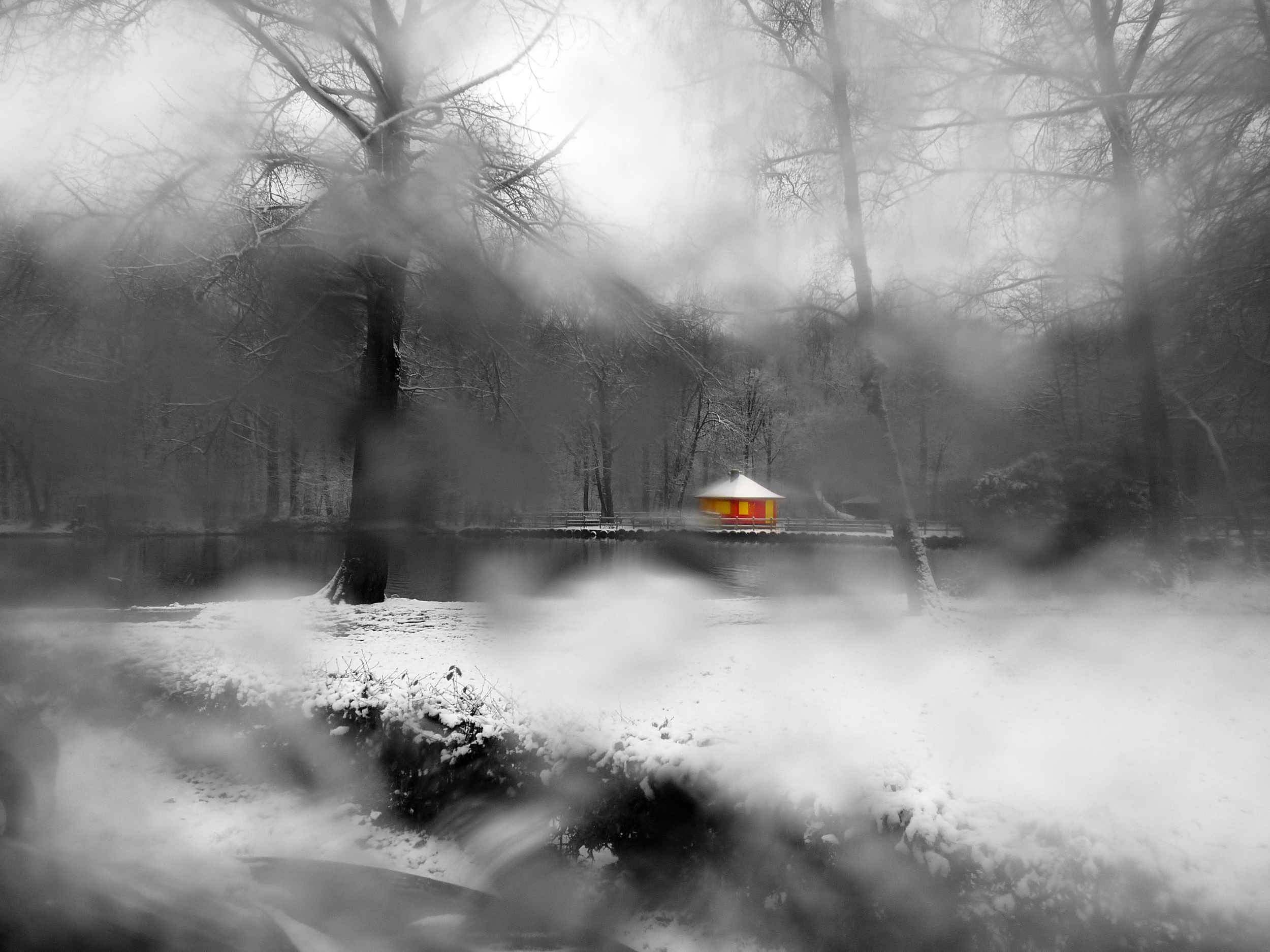 Sneeuw in Steinerbos.
