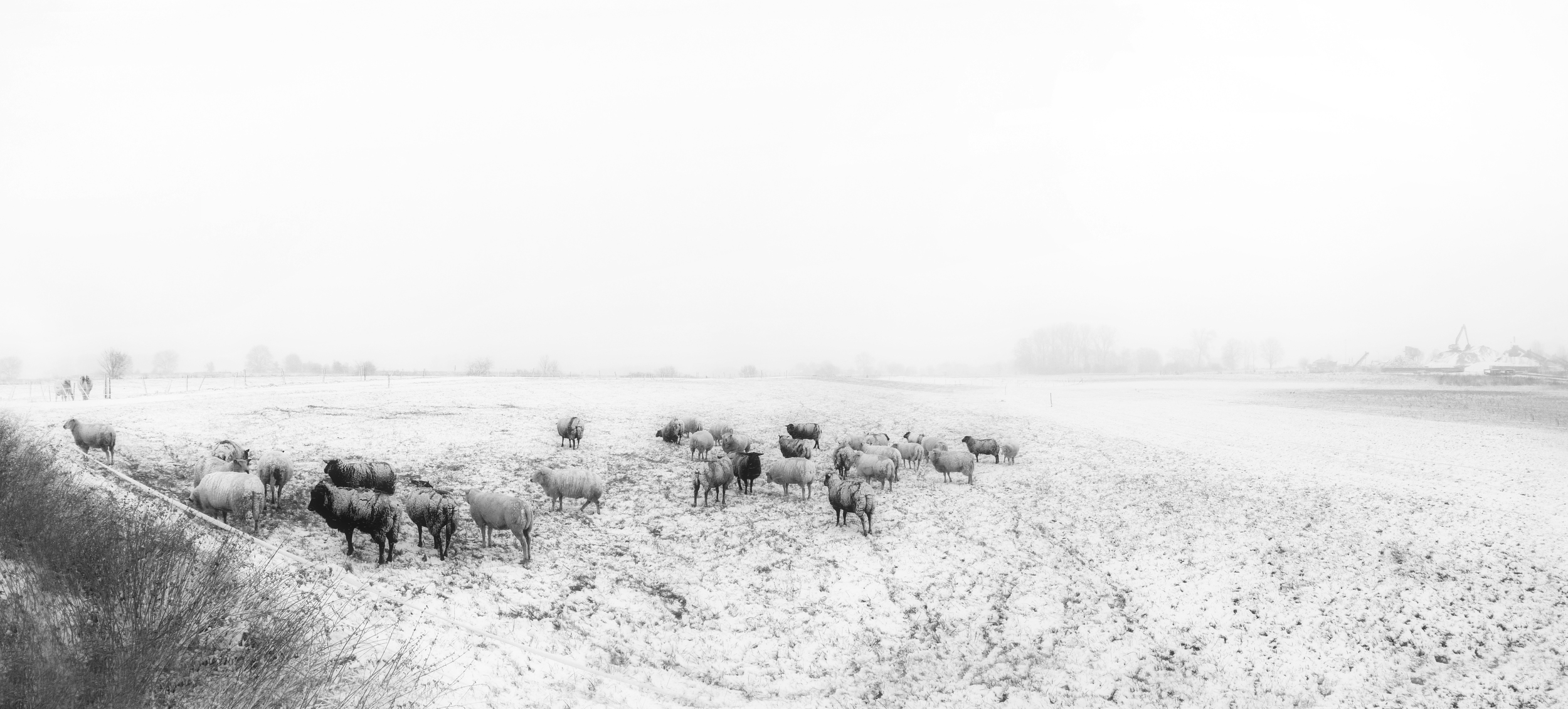 Sneeuw in de Maasband.