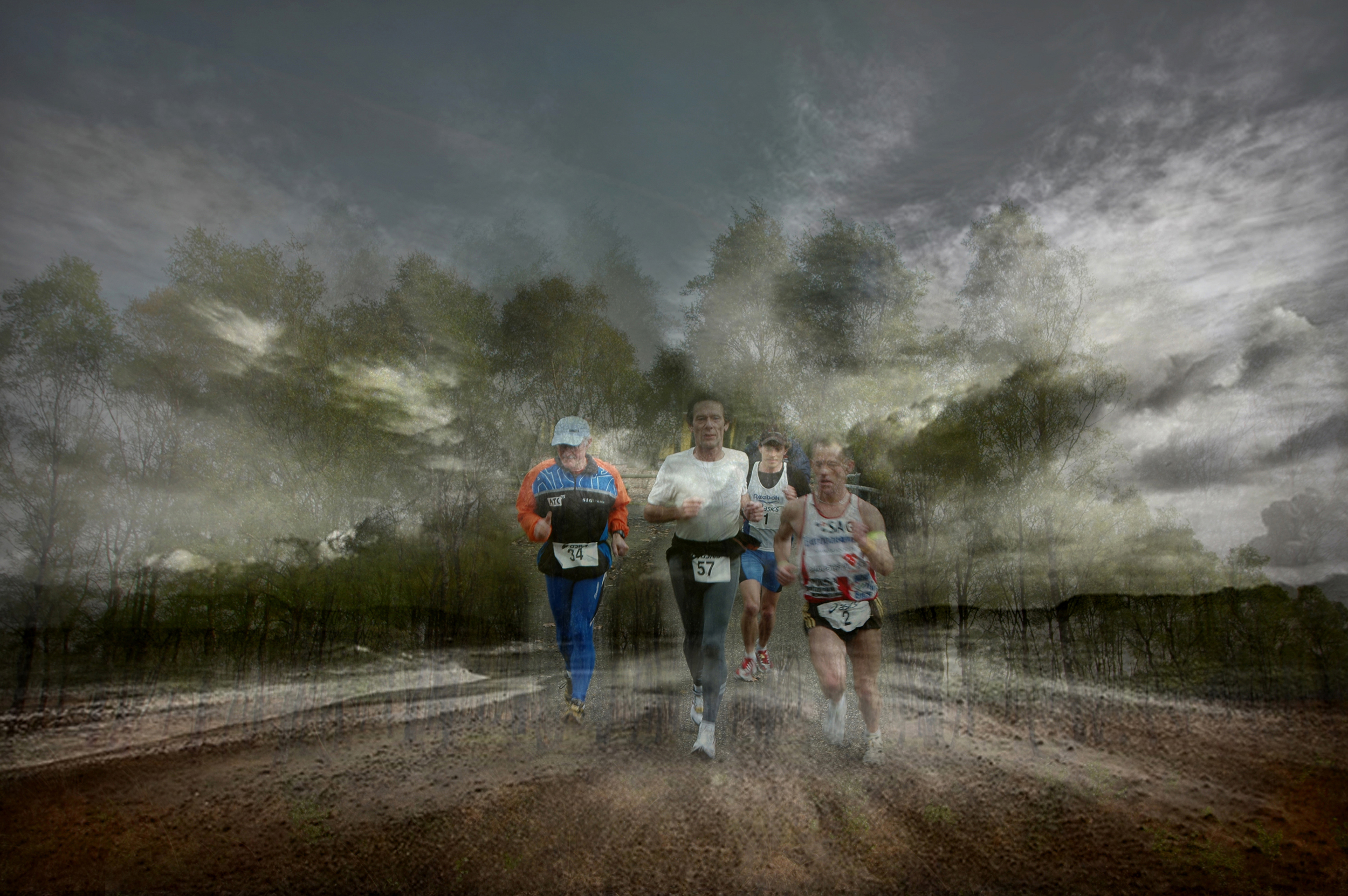 Samengestelde foto gemaakt tijdens de 6 uren loop in Steinerbos.